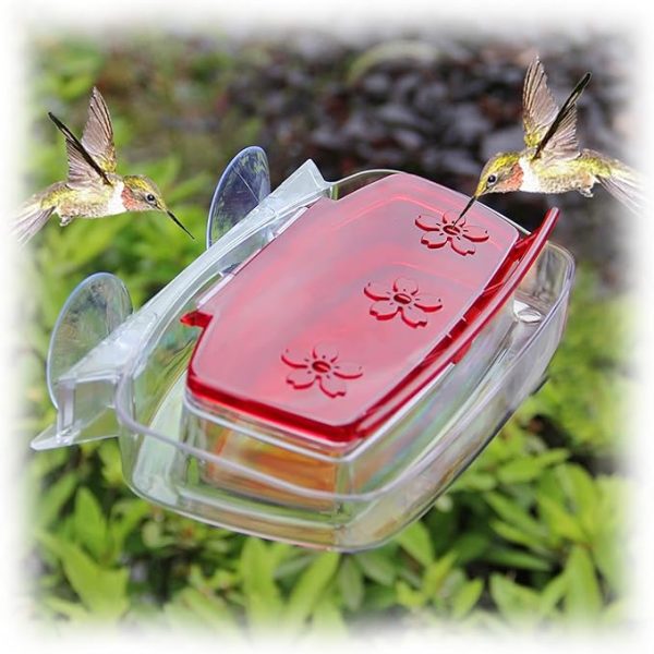 Window Hummingbird Feeder